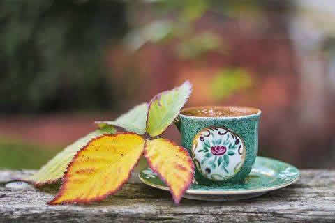 kahve ve sonbahar sarı yapraklar , hüzünlü kahve resimleri